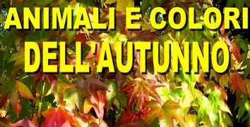 autunno in Carnia e Friuli
